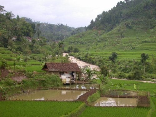 gubuk di jateng