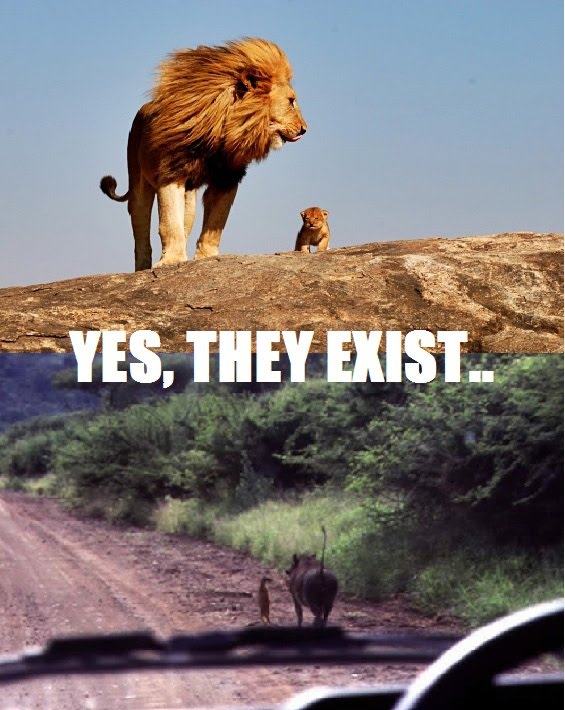 Blocked Lion%2BKing%2527s%2Ba%2Btrue%2Bstory%2B-%2BYes%2BThey%2BExist