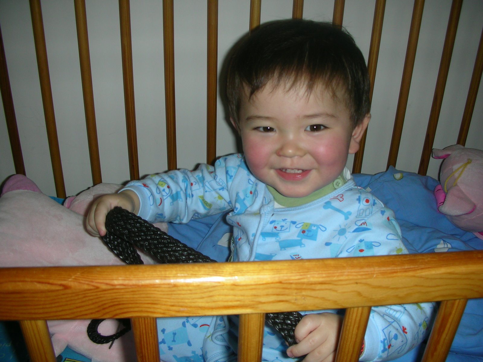 [DSCN7381.JPG]