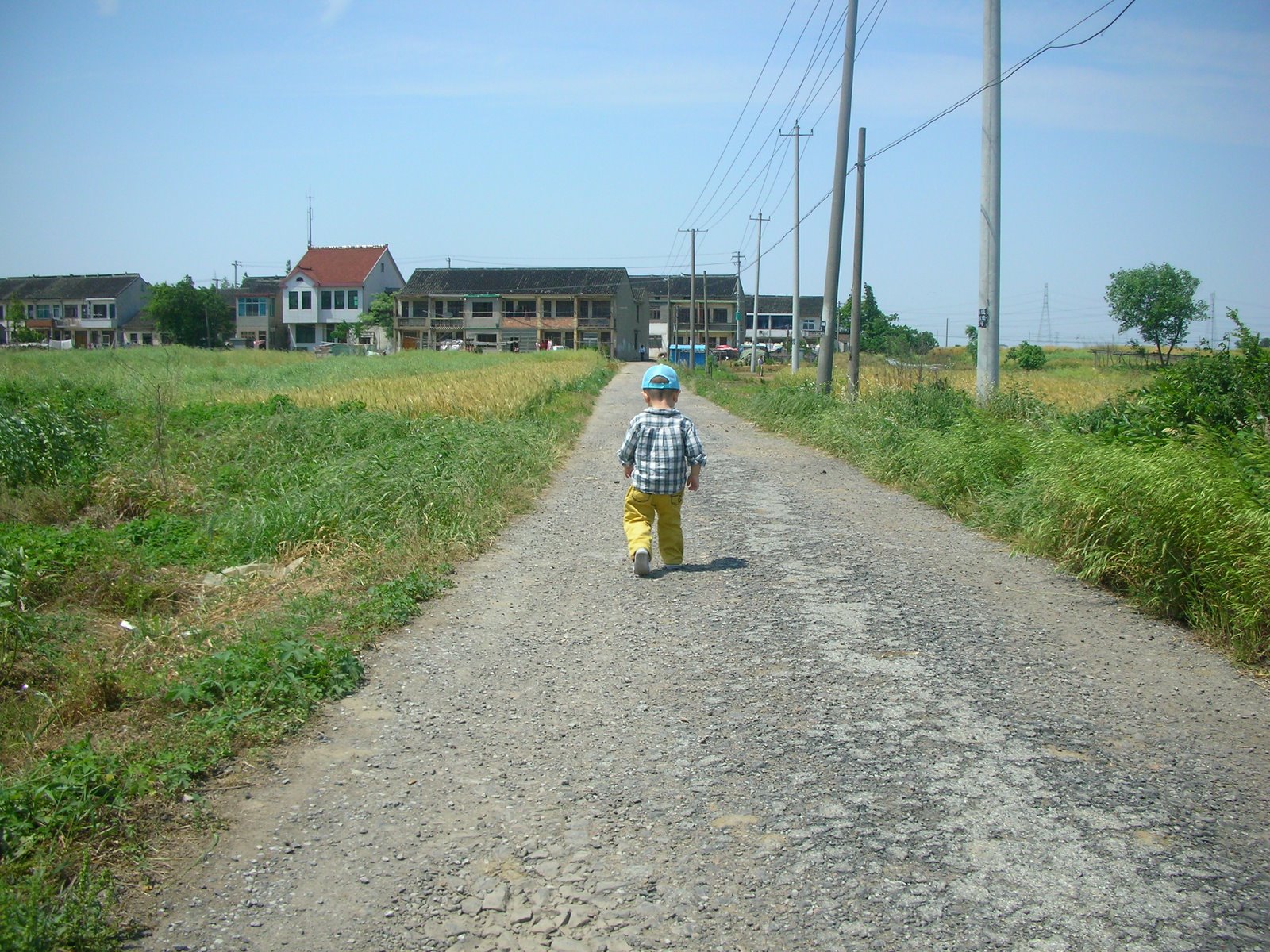 [DSCN7962.JPG]