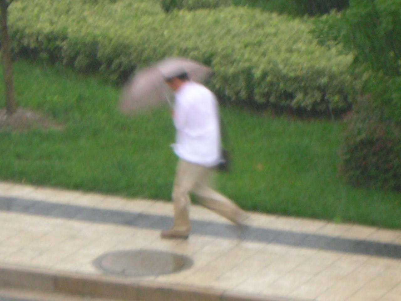 [RSCN8308.JPG]