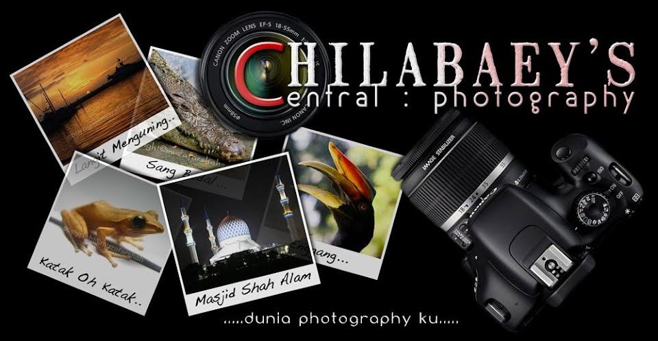 Chilabaey's Central