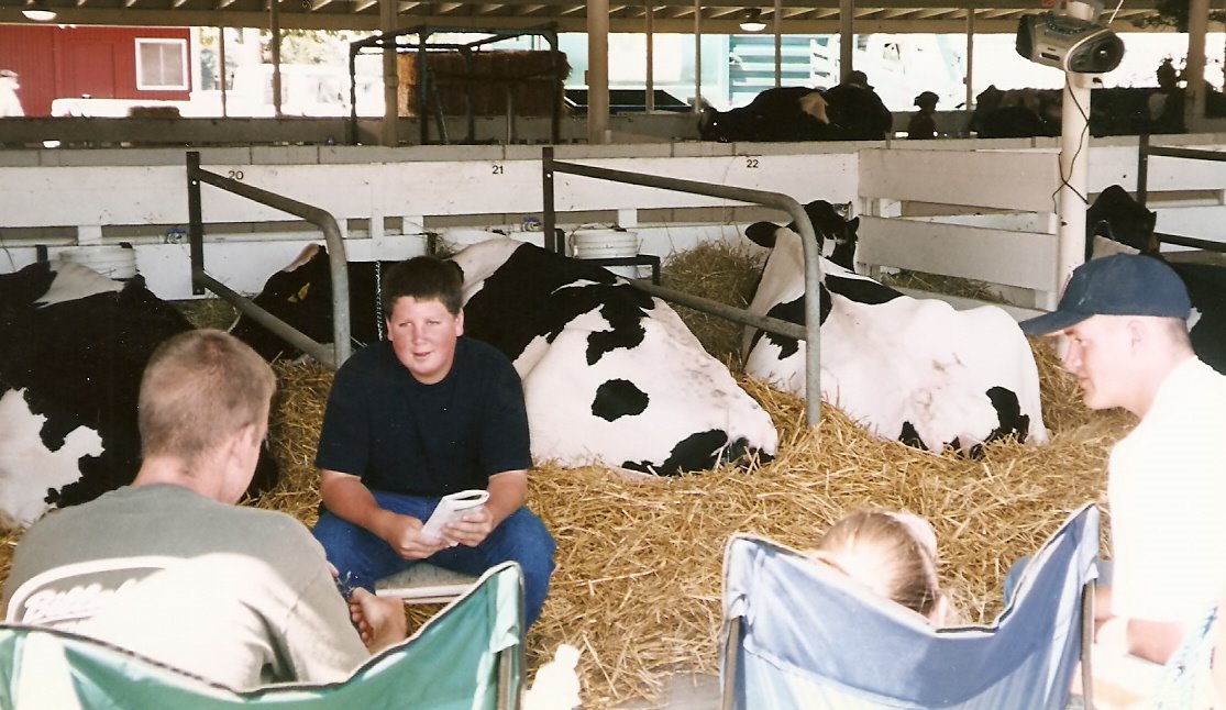[cow+barn+at+fair.jpg]