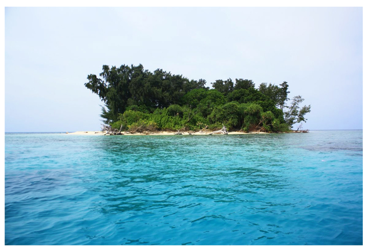 pulau harapan