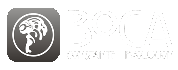 bogaindesign2