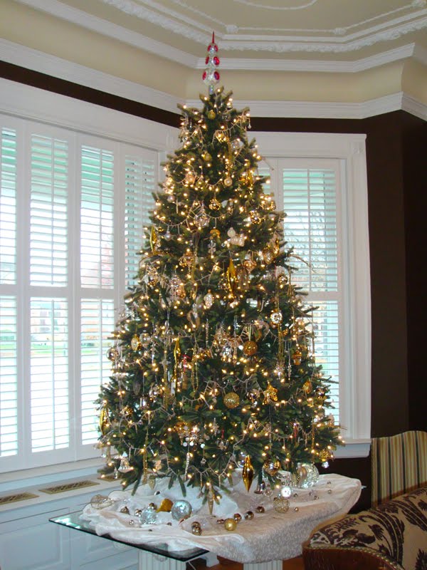 [Parlor+Tree.jpg]