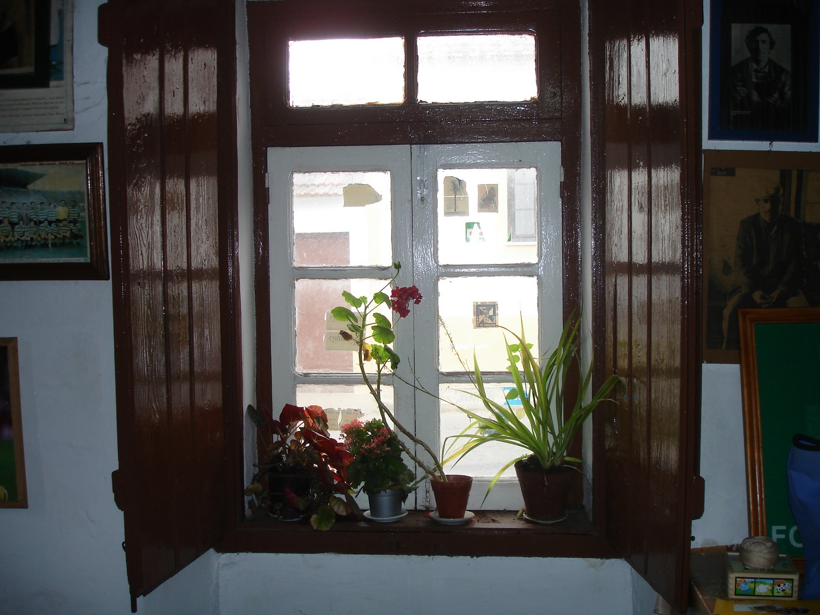 [DSC00054.JPG]
