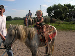 Uncle Allen's Horsie