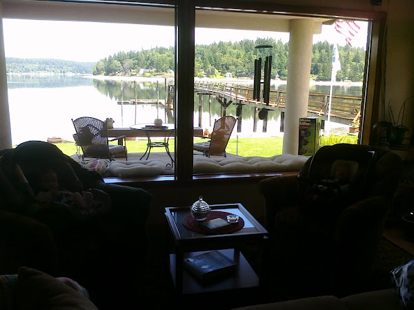 Sunny Day at Shelton