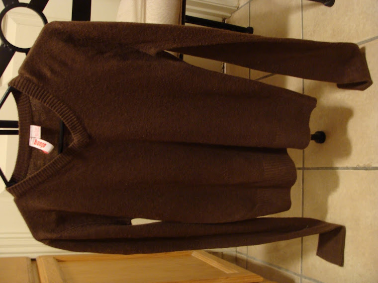 Brown Sweater