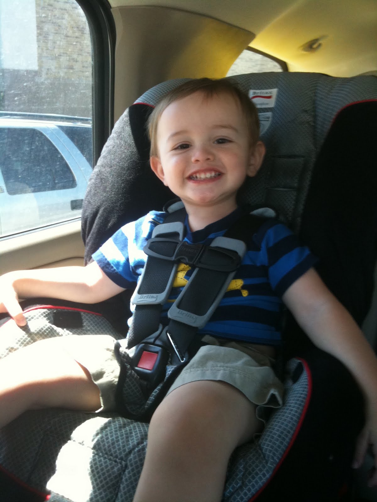 Pixels in Bloom: The Big Boy and the Car Seat Pixels in Bloom: The Big Boy and the Car Seat