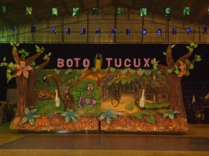 Boto Tucuxi 2010