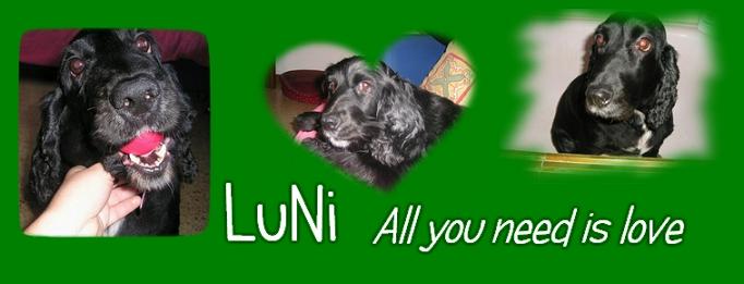 Lunita "All you need is love"