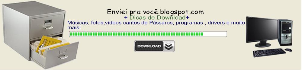 Enviei pra você Dicas de download