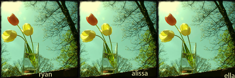 ryan alissa and ella