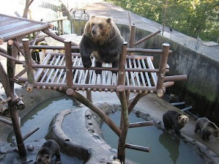 noboribetsu bear park