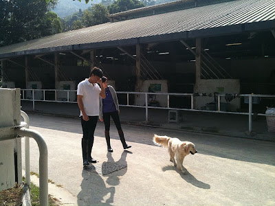 Kenneth Ma Natalie Tong