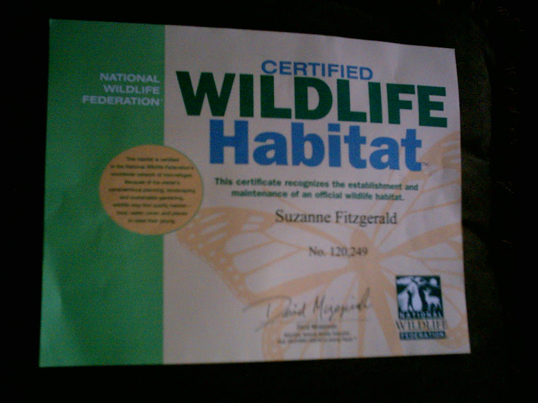 National Wildlife Federation