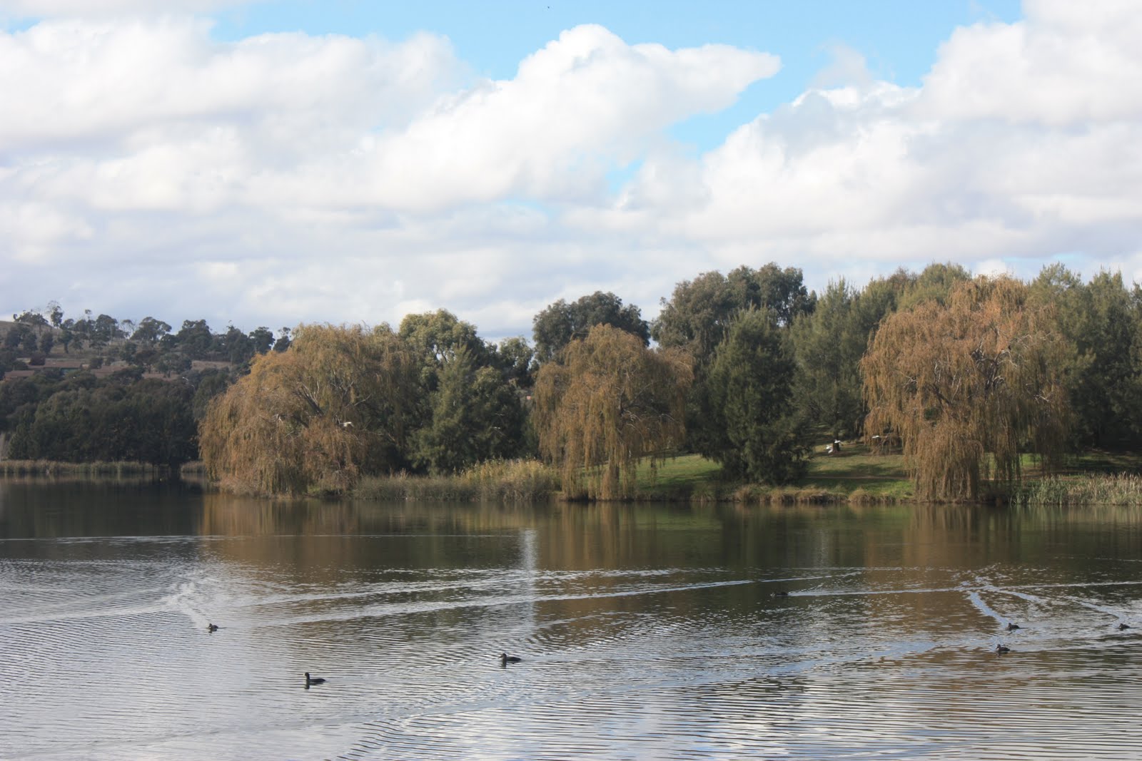 Lake Tuggeranong Canberra Australia