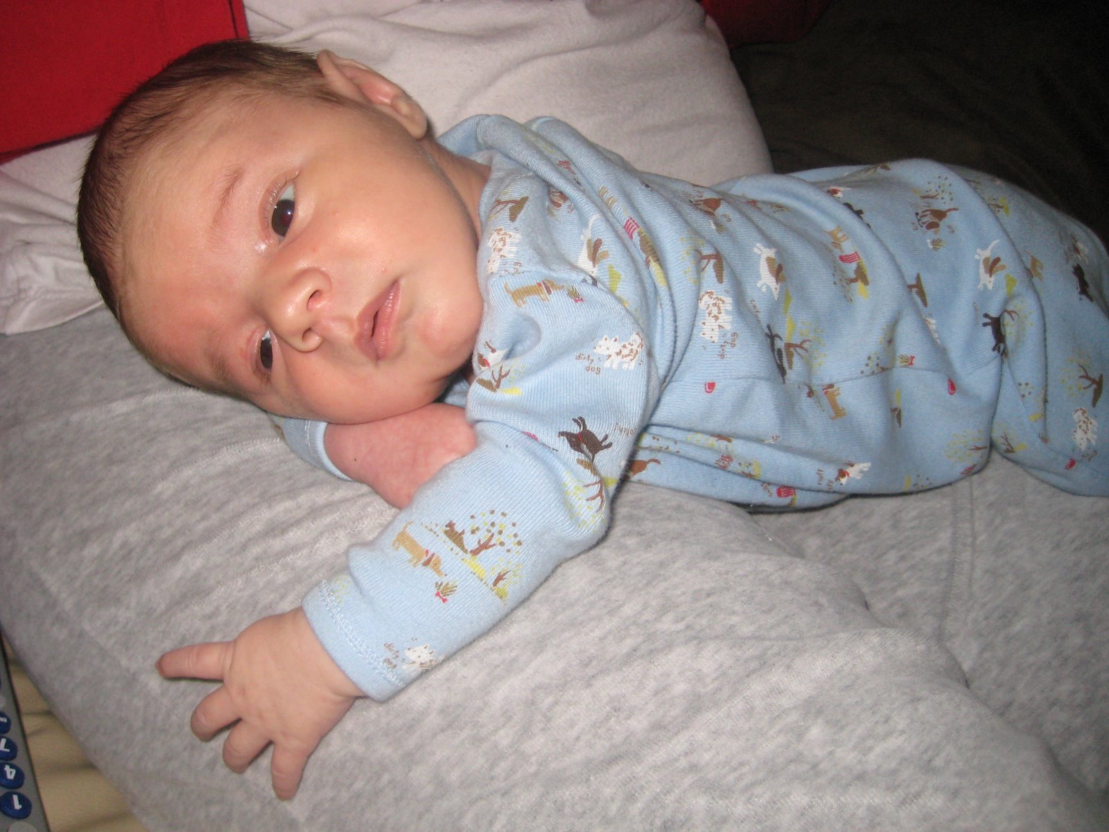 [Baby+Carter+-+Jan+'09+082.JPG]