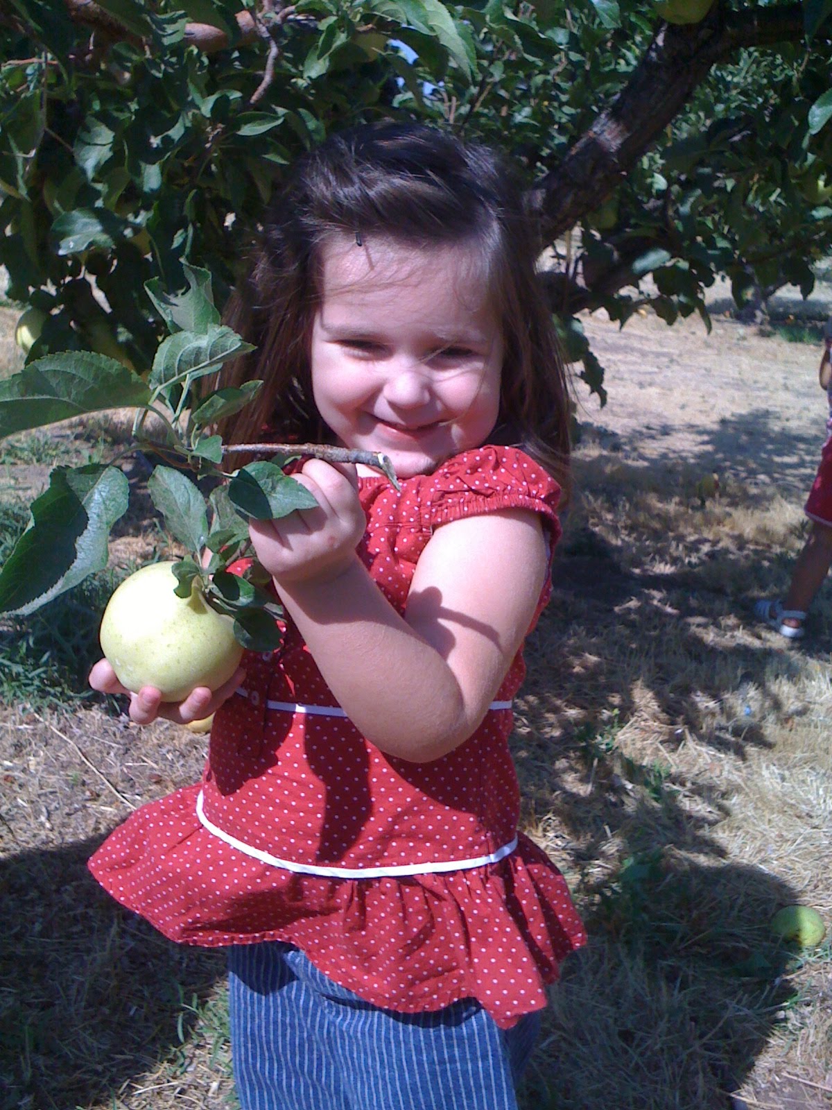 [Fair+2009+005.JPG]