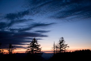 [IMG_0794.jpg]