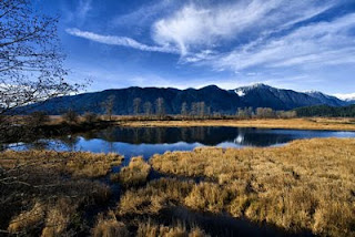 Addington Marsh, Maple Ridge, BC, Canada
