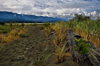 Deep Bay, British Columbia, Canada