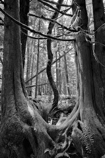 Crippen Regional Park, Bowen Island, BC, Canada