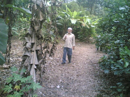 Tuan Guru diKebun Buah