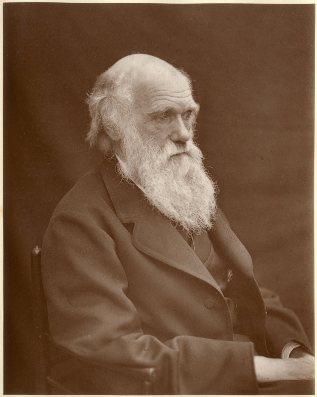 [11-1878_Darwin_photo_by_Leonard_from_Woodall_1884.jpg]