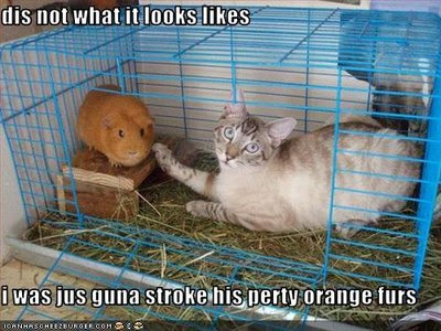 quotes for pictures captions. Better caption or comment quotes for pictures captions. quotes for pictures captions. Better caption or comment