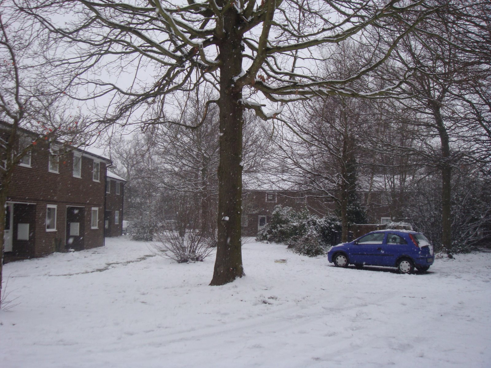 [DSC01574.JPG]