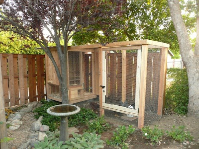 Women+only+train+tokyo