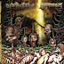 Septicemia/ Antraks split