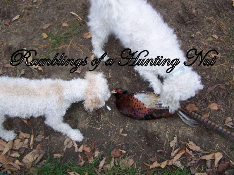 Ramblings of a Hunting Nut