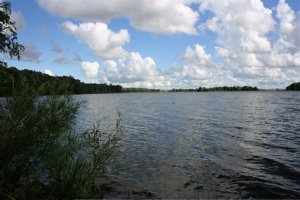 [BlogPhoto-Day17BuffLake.JPG]