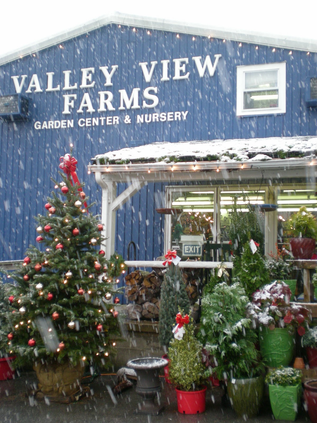 Valley View Farms Christmas Traditions