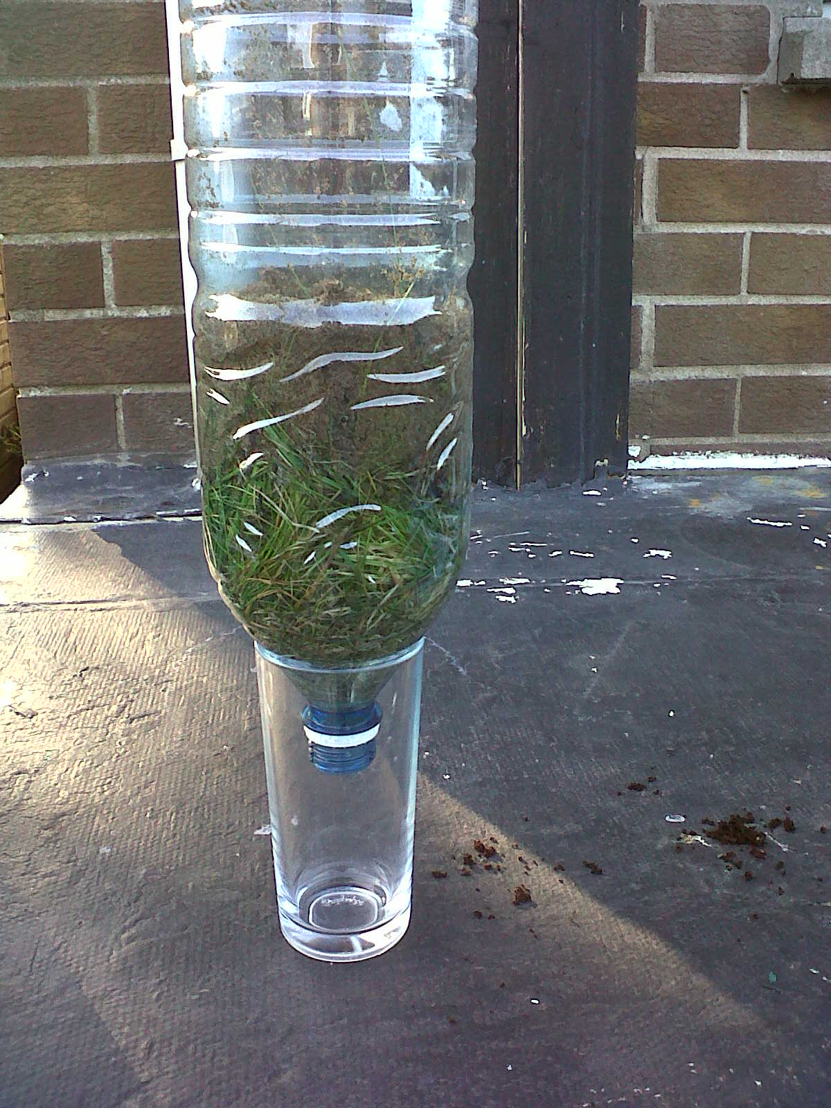 Belfast Bushcraft Blog Water bottle water filter