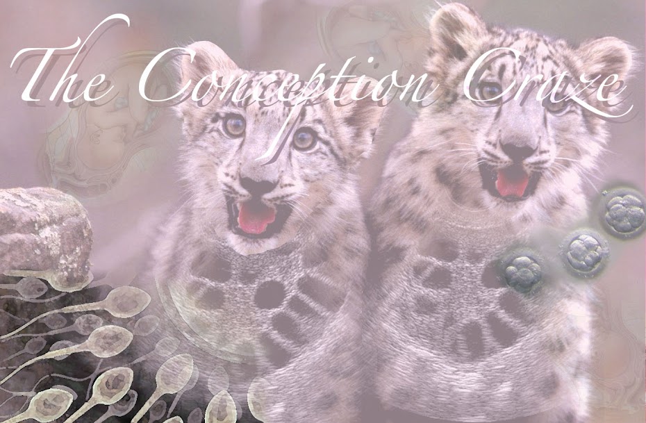 The Conception Craze.