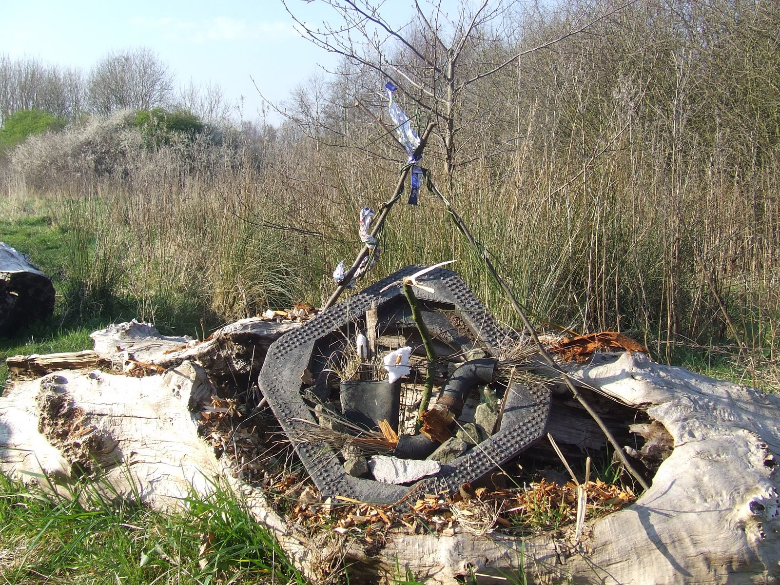 [Found+Objects.JPG]