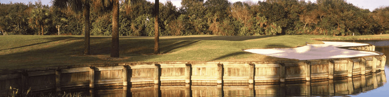Golf Swing - Lesson and Course Reviews