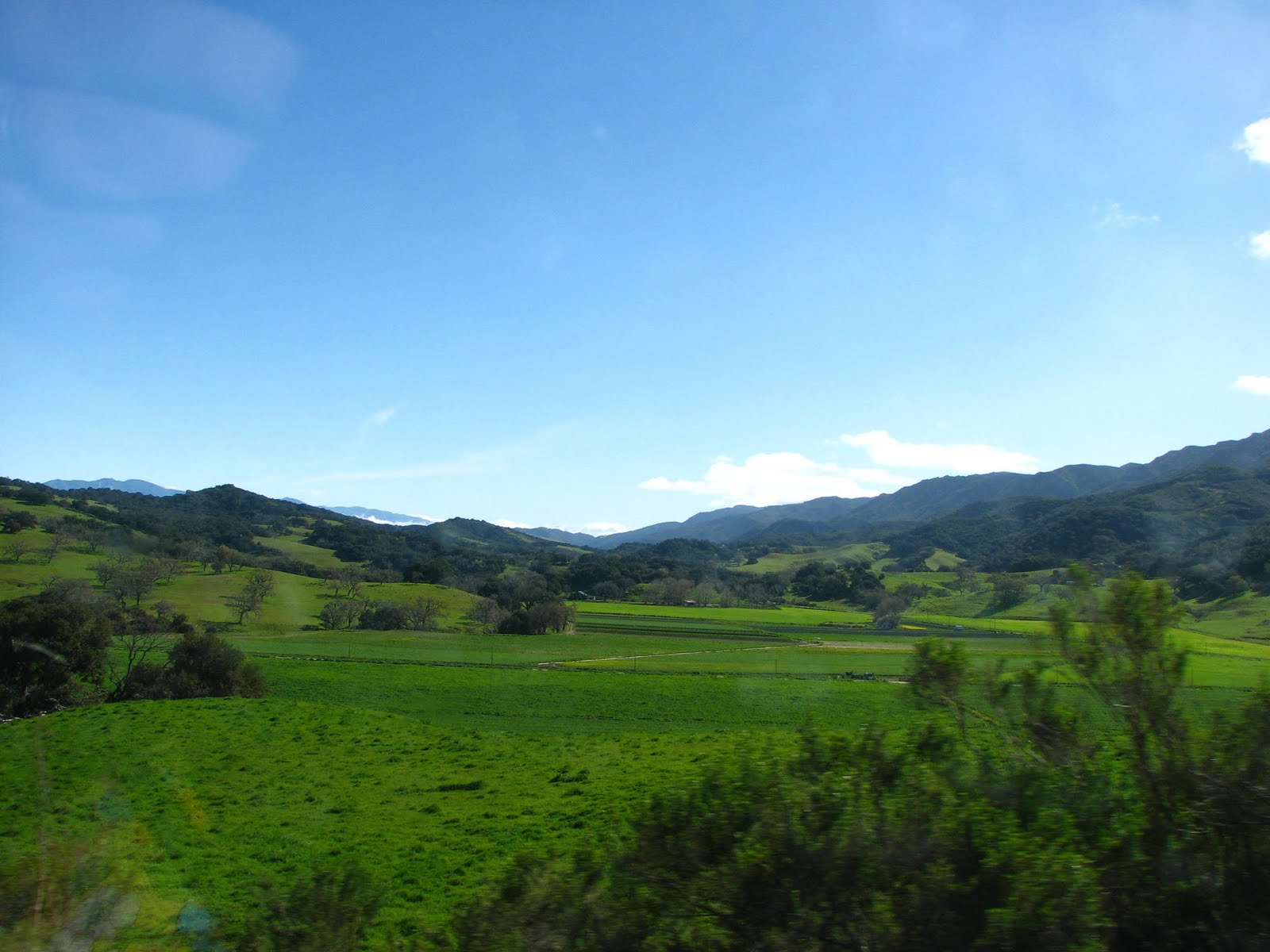 [IMG_7713.JPG]