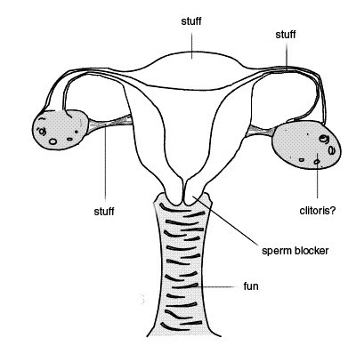 PICTURES I LOVE: FEMALE ANATOMY