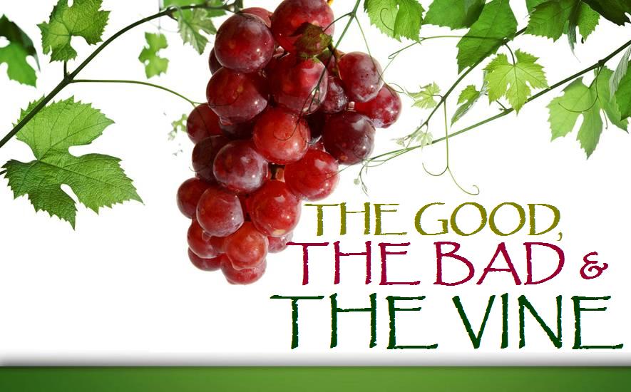 [The+Good,+The+Bad+&+The+Vine.jpg]