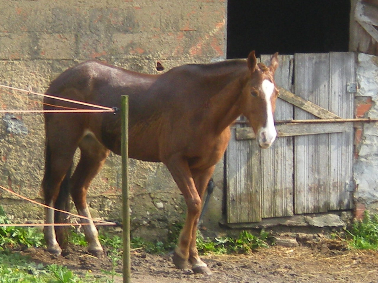 [RSCN0916.jpg]