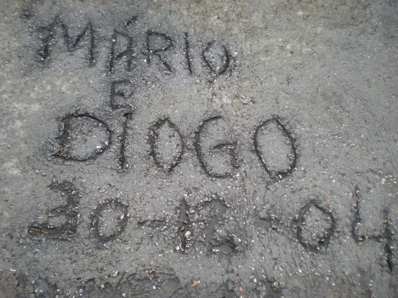 [DSCN0833.jpg]