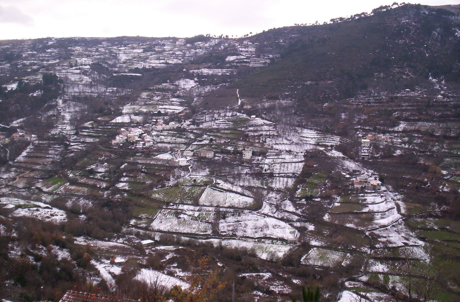 [Paus%20%25284%2529.JPG]