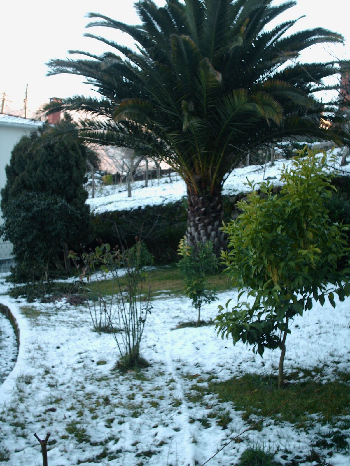 [HPIM4137.JPG]