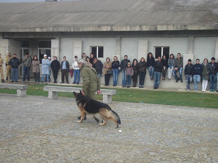 [FOTO2%20exibi%25E7%25E3o[1].JPG]
